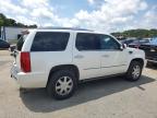 2008 Cadillac Escalade Luxury for Sale in Shreveport, LA - Minor Dent/Scratches