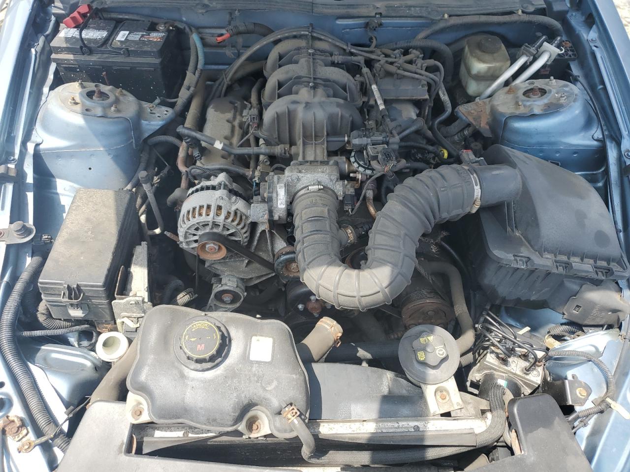 2006 Ford Mustang VIN: 1ZVFT84N565227991 Lot: 62309045