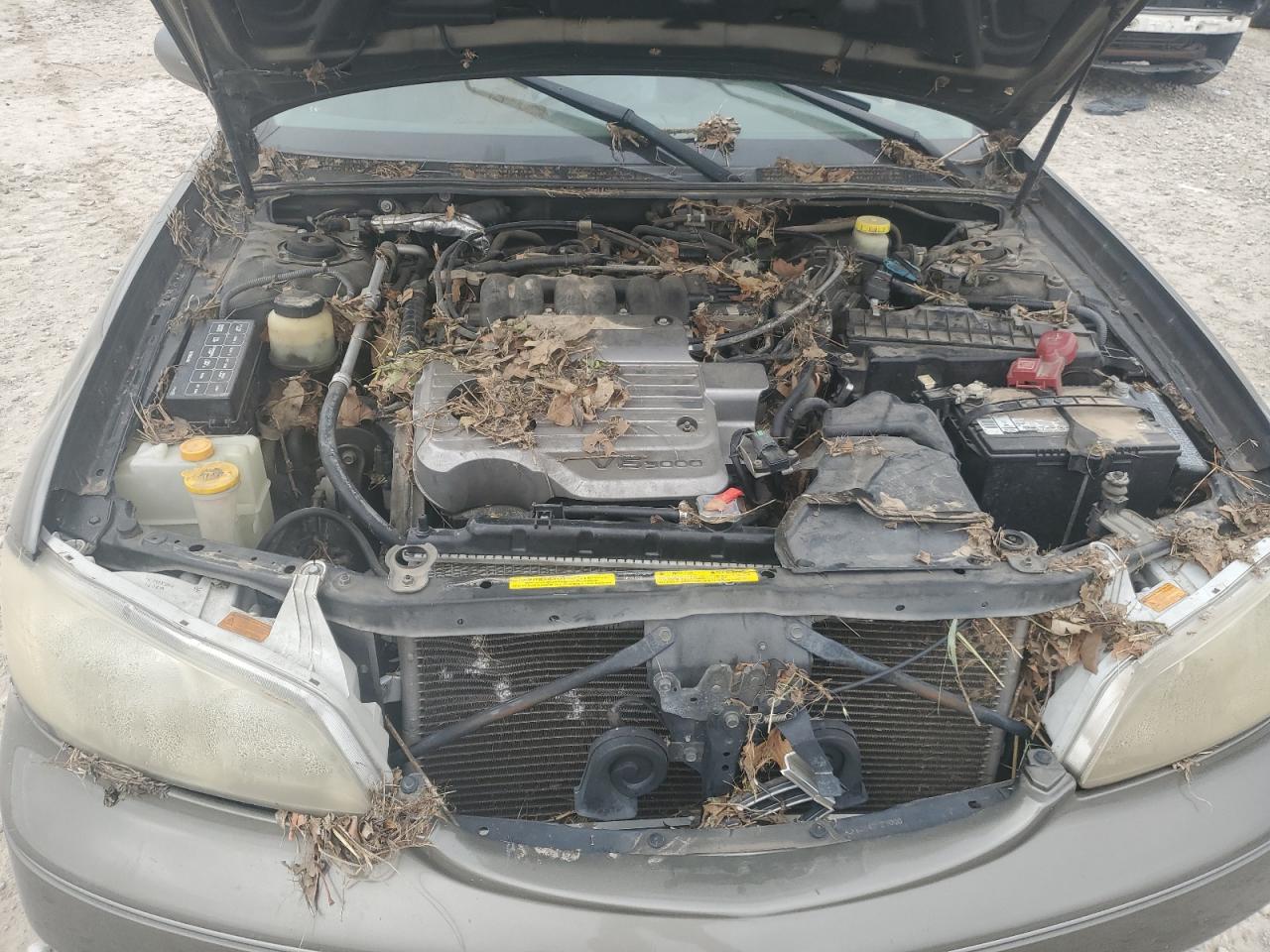 2000 Infiniti I30 VIN: JNKCA31A3YT123464 Lot: 59937635
