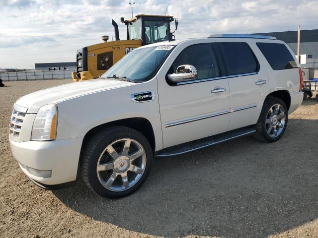 2009 Cadillac Escalade Hybrid