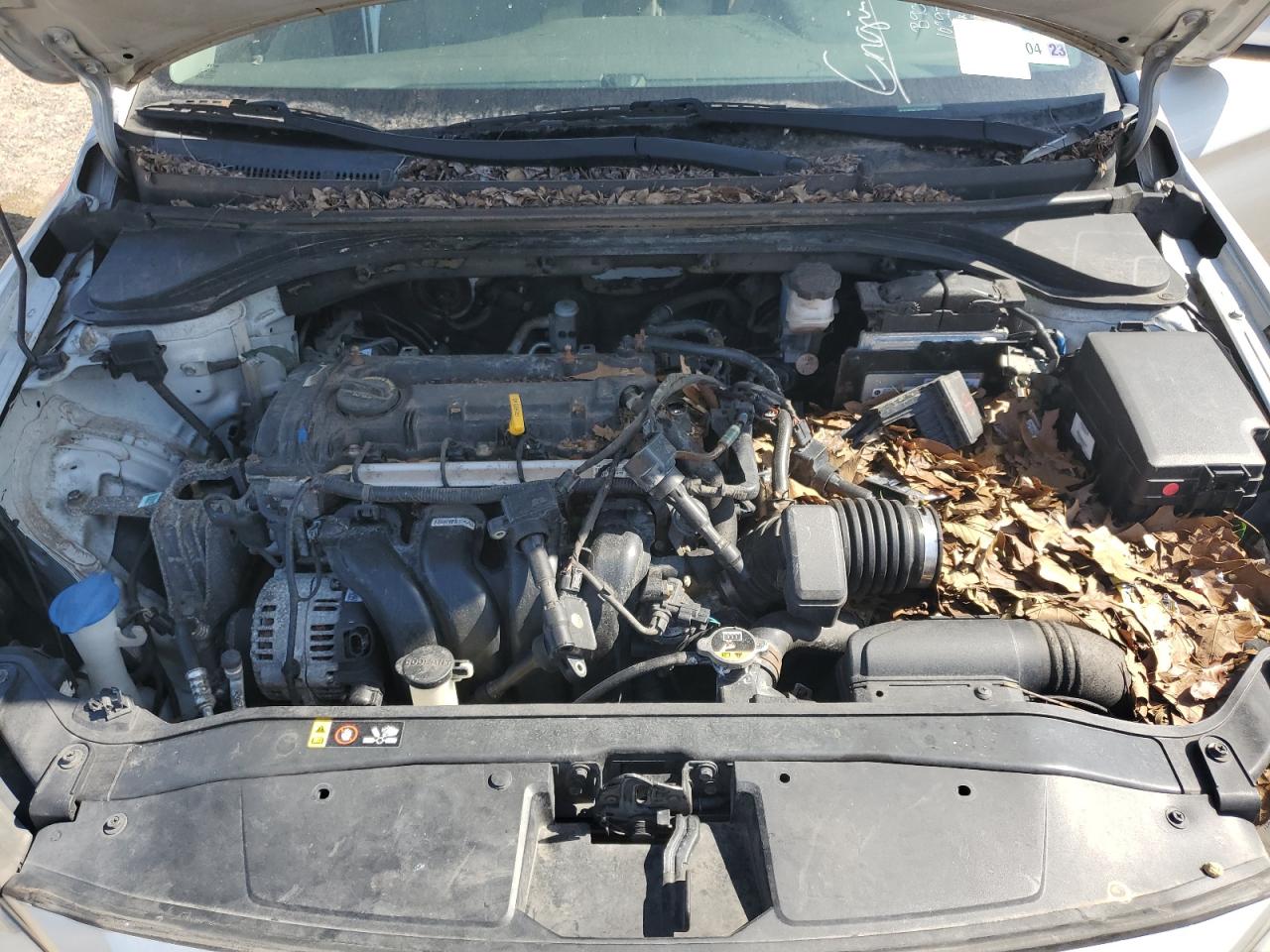 HYUNDAI ELANTRA 2017 VIN 5NPD74LF1HH102975 zdjęcie 11