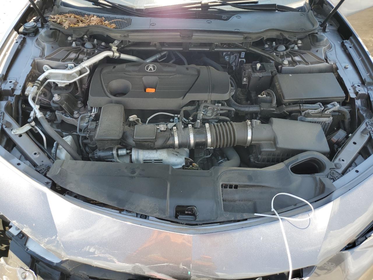2021 Acura Tlx Technology VIN: 19UUB6F44MA008385 Lot: 61388495