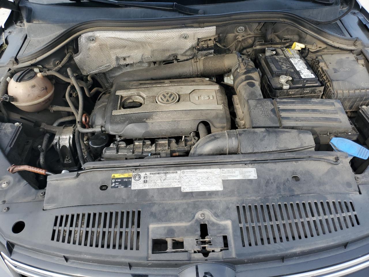 2013 Volkswagen Tiguan S VIN: WVGAV7AX1DW548582 Lot: 62522915