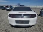 2014 Ford Mustang  for Sale in Reno, NV - Front End