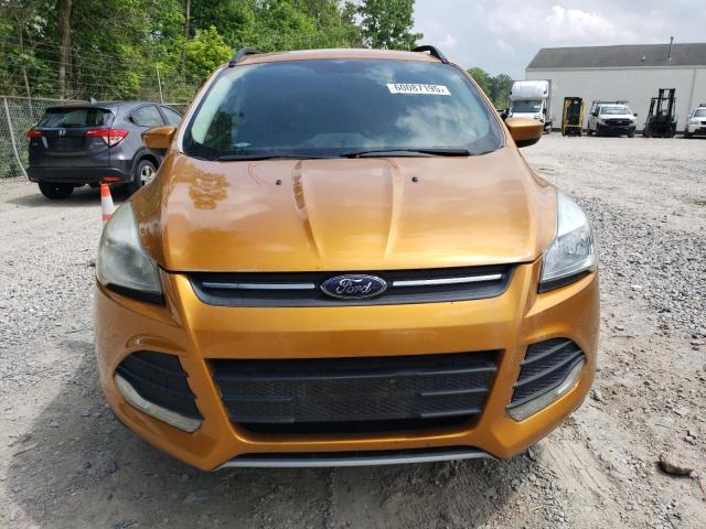  FORD ESCAPE 2016 Pomarańczowy
