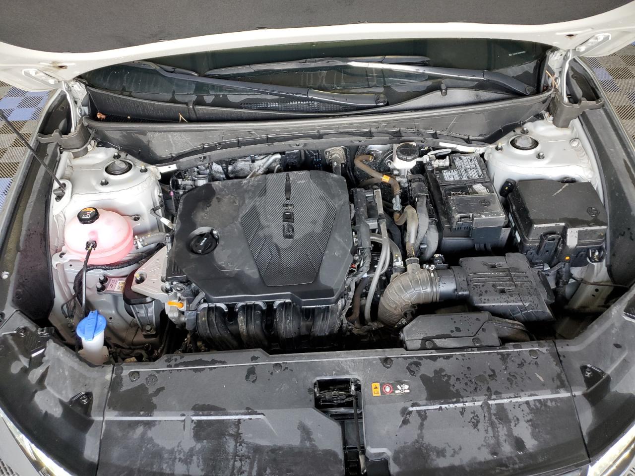2024 Hyundai Tucson Sel VIN: 5NMJBCDE8RH385861 Lot: 62596535