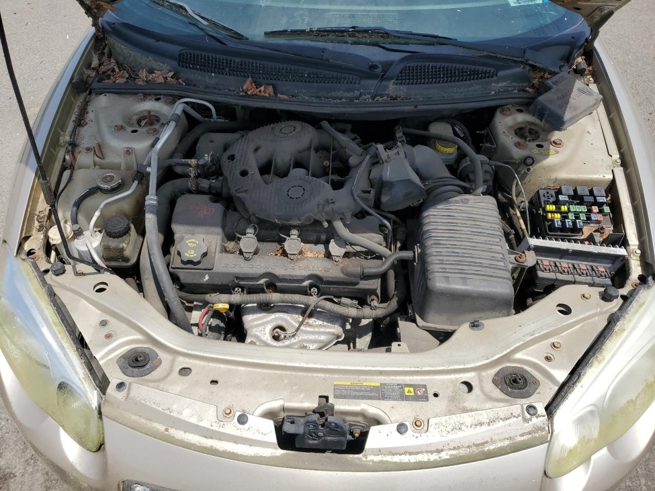 2006 Chrysler Sebring Touring VIN: 1C3EL55R36N203319 Lot: 60989795