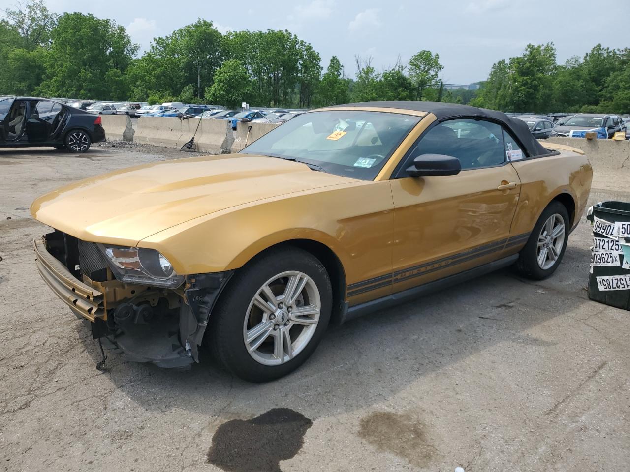 2010 Ford Mustang for Sale in Marlboro, NY - Front End