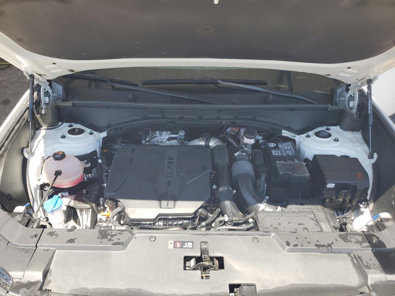 2024 Hyundai Santa Fe Sel VIN: 5NMP2DGL1RH029956 Lot: 62599665