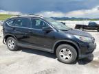 2016 Honda Cr-V Lx for Sale in Littleton, CO - Rear End