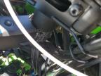 2025 KAWASAKI EX650 P   for sale at Copart AZ - PHOENIX NORTH