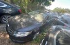 Apopka, FL에서 판매 중인 2013 Volkswagen Cc Sport   - Water/Flood
