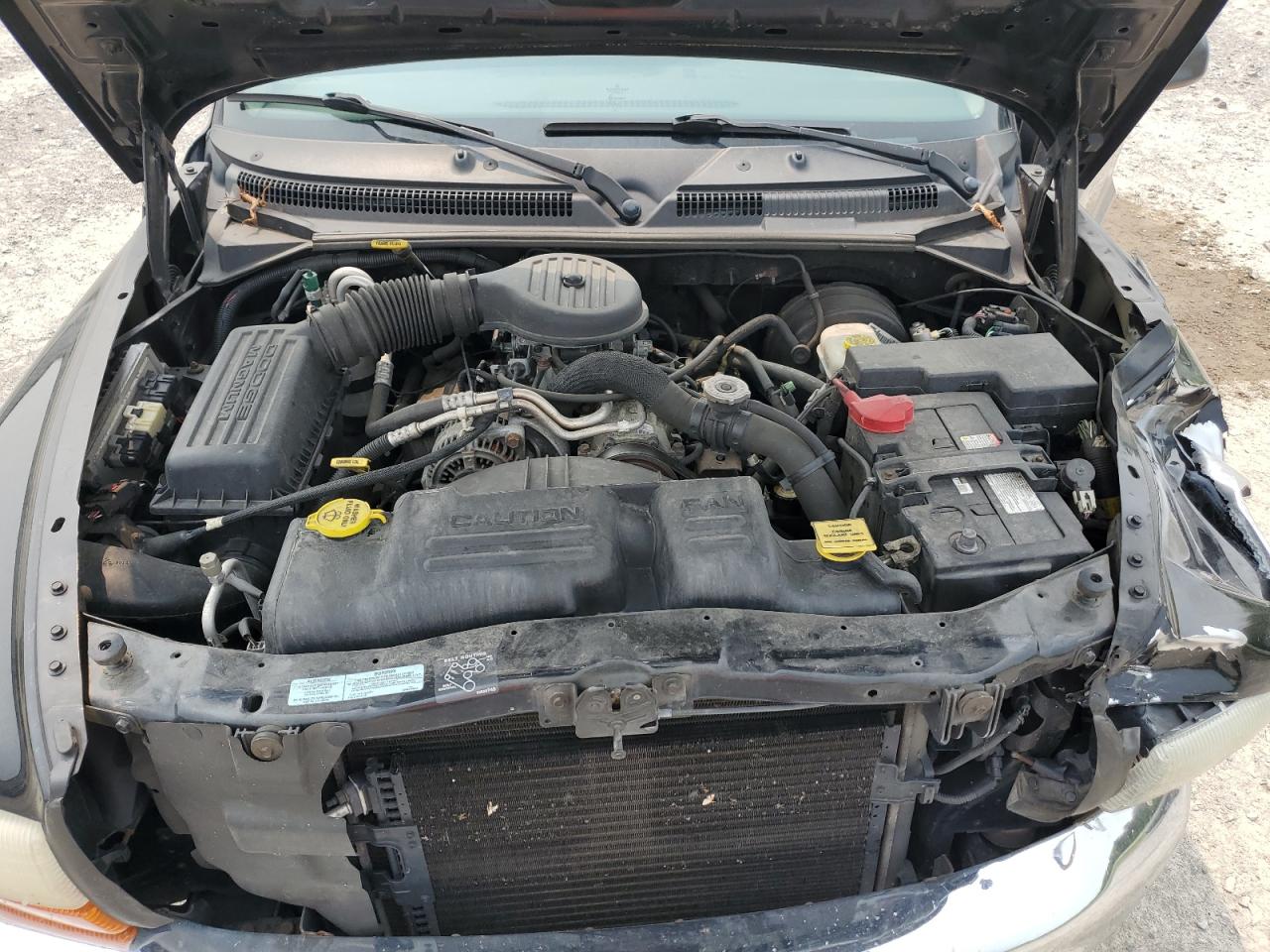 2001 Dodge Dakota VIN: 1B7GL22X21S288265 Lot: 59529585
