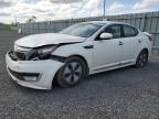2013 KIA OPTIMA HYBRID   for sale at Copart ON - OTTAWA
