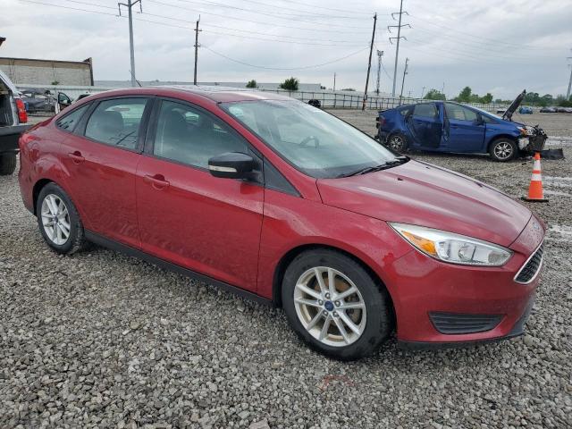  FORD FOCUS 2015 Czerwony