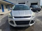 2013 Ford Escape Sel for Sale in Fort Pierce, FL - Rear End