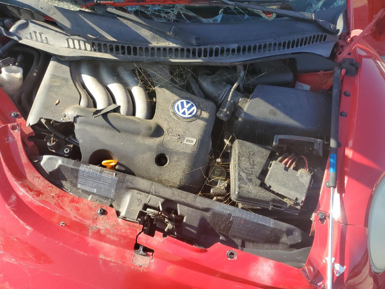 1999 Volkswagen New Beetle Gls VIN: 3VWCA21CXXM427785 Lot: 61967305