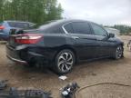2016 HONDA ACCORD EXL   à vendre chez Copart ON - COOKSTOWN