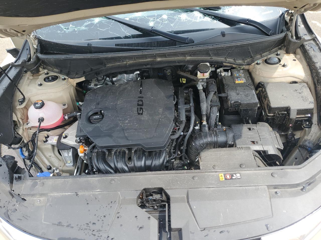 2024 Hyundai Santa Cruz Se VIN: 5NTJADAE4RH097045 Lot: 60448365