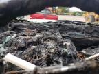 2000 Dodge Ram 2500    იყიდება Albuquerque-ში, NM - Burn