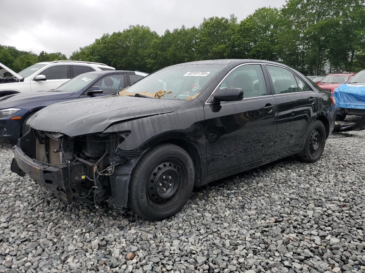 2010 Toyota Camry Base იყიდება North Billerica-ში, MA - Front End