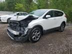 2019 HONDA CR-V EXL   à vendre chez Copart ON - COOKSTOWN