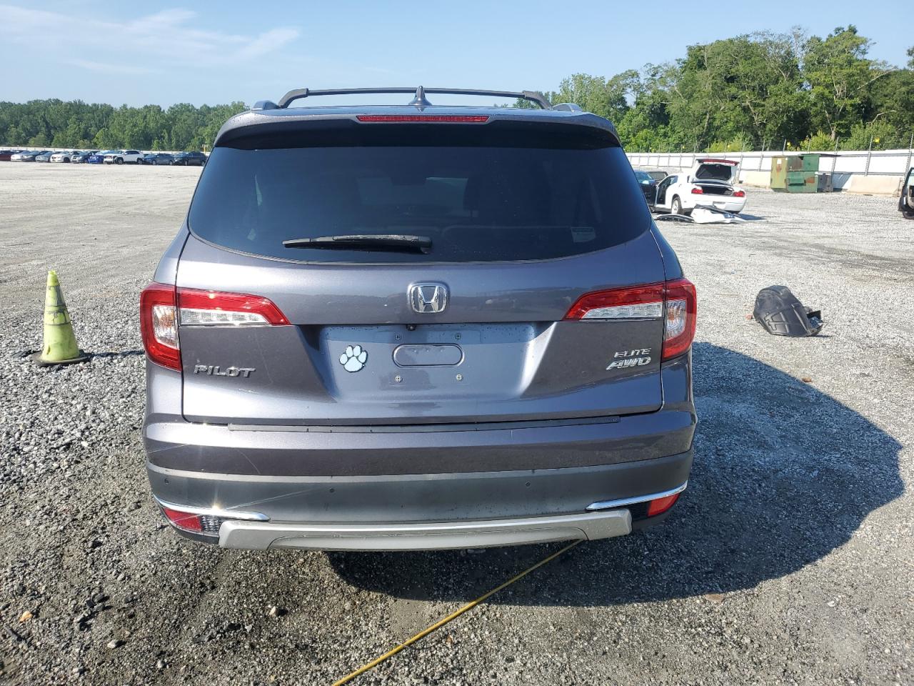 2020 Honda Pilot Elite VIN: 5FNYF6H00LB044305 Lot: 62680805