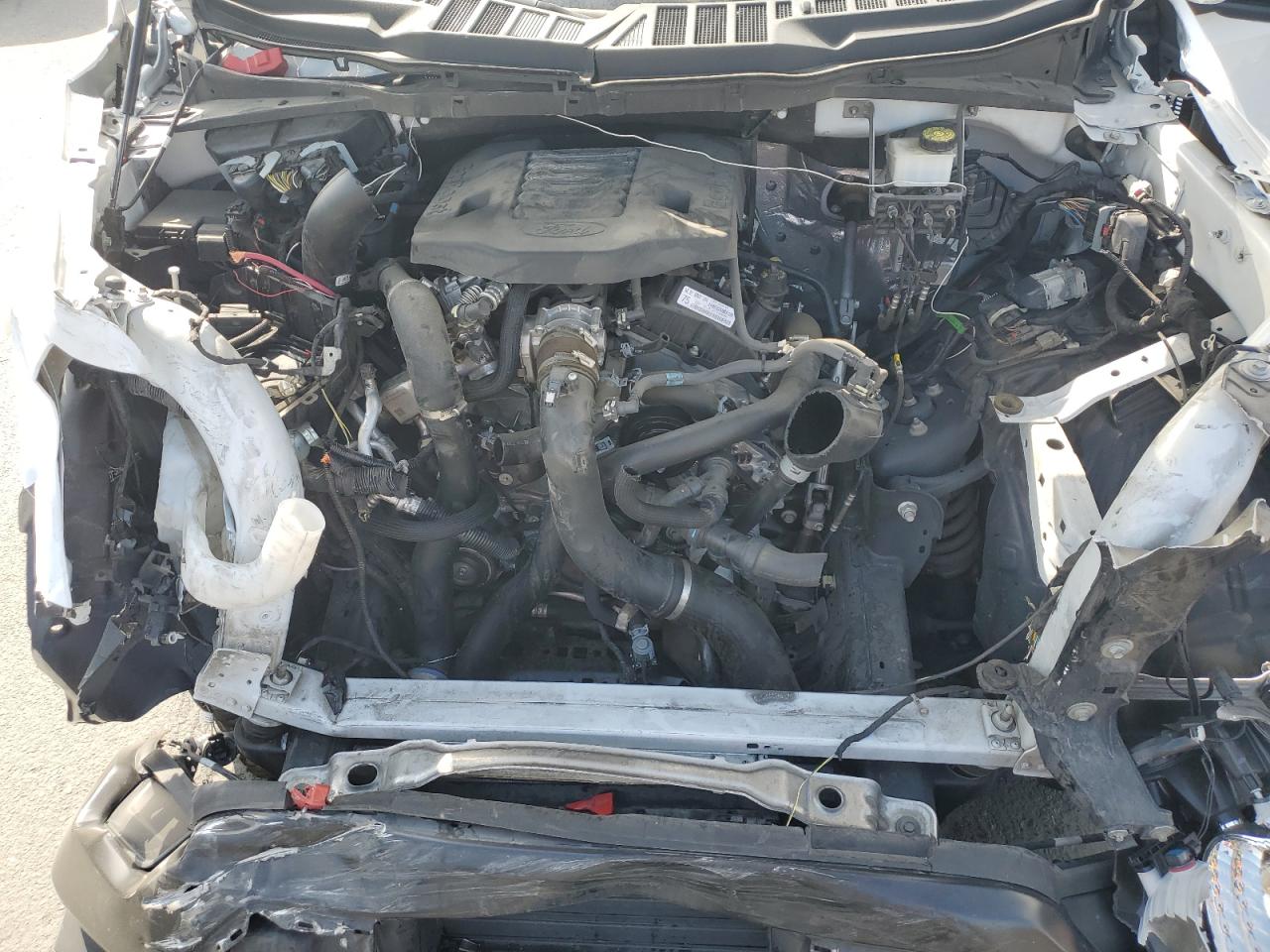 2023 Ford F150 VIN: 1FTNF1E86PKD72224 Lot: 59704585