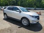 2019 Chevrolet Equinox Lt للبيع في Shreveport، LA - Rear End