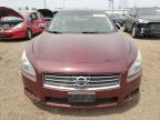 2009 Nissan Maxima S for Sale in Elgin, IL - Side