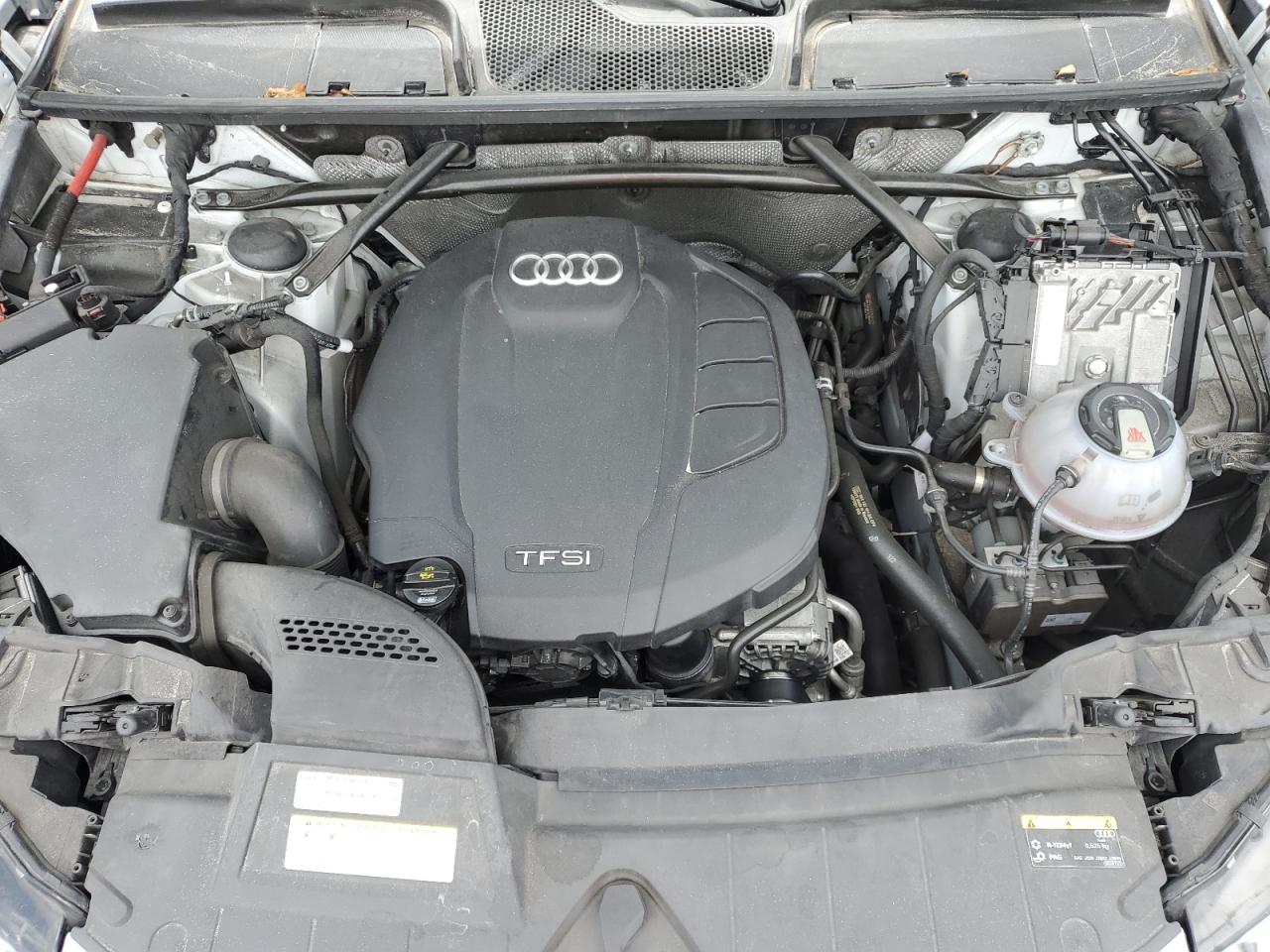 2019 Audi Q5 Premium Plus VIN: WA1BNAFY8K2120000 Lot: 62656855