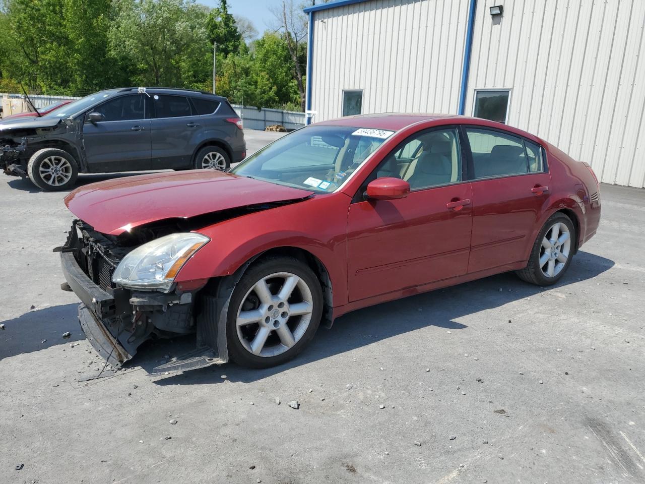 2005 Nissan Maxima Se იყიდება Albany-ში, NY - Front End