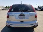 2010 Honda Cr-V Exl للبيع في Woodburn، OR - Front End