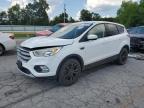 2017 FORD ESCAPE SE   for sale at Copart MO - SPRINGFIELD