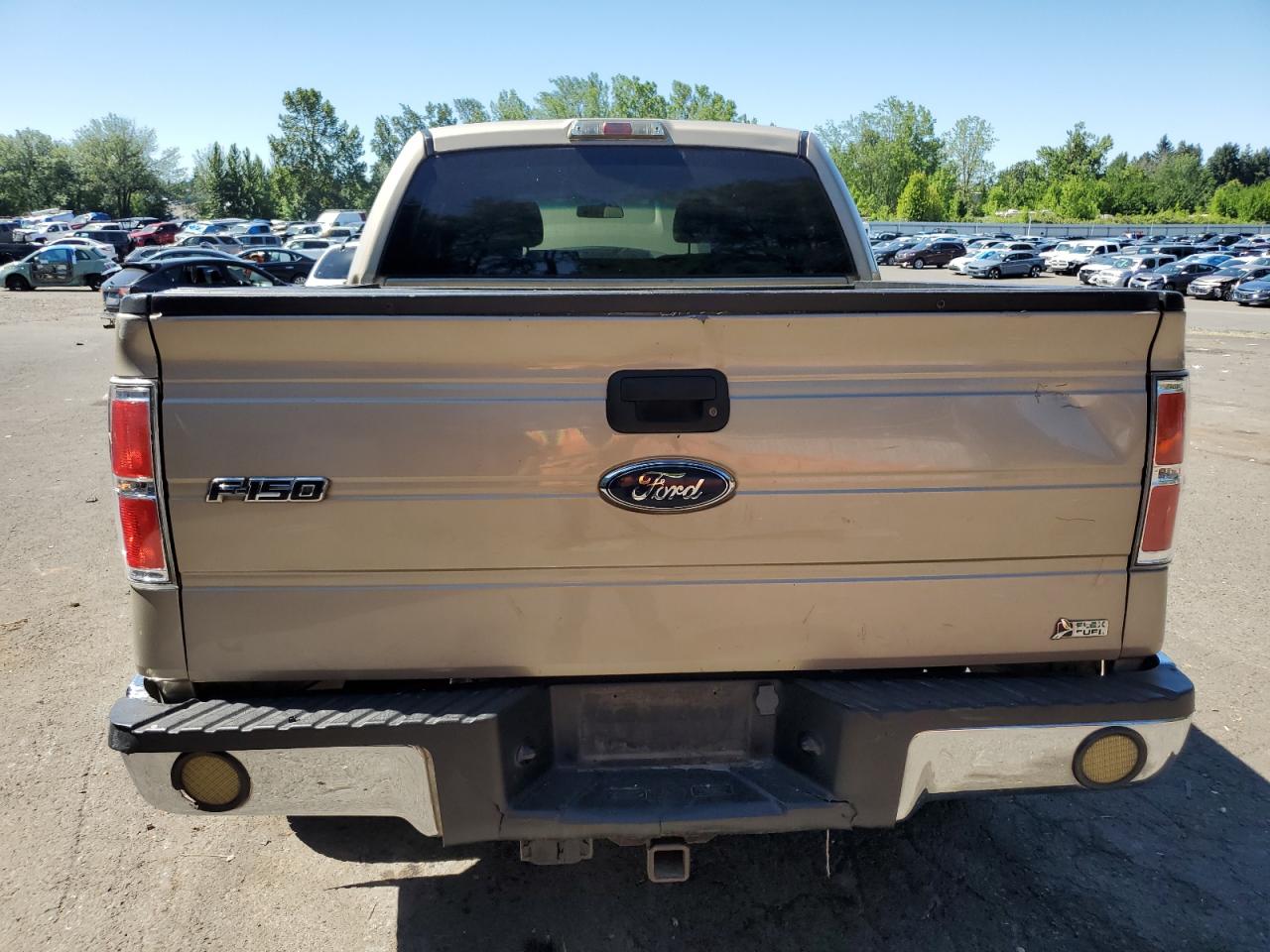 2010 Ford F150 Supercrew VIN: 1FTFW1EV6AFB53385 Lot: 62673395
