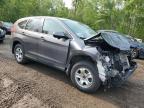 2016 HONDA CR-V EXL à vendre chez Copart ON - COOKSTOWN