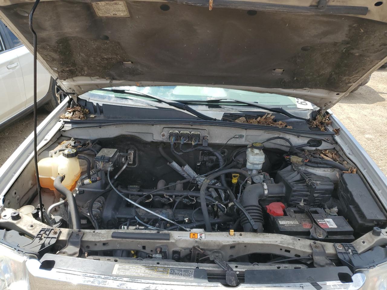 2008 Ford Escape Xls VIN: 1FMCU92Z48KB25600 Lot: 63178825