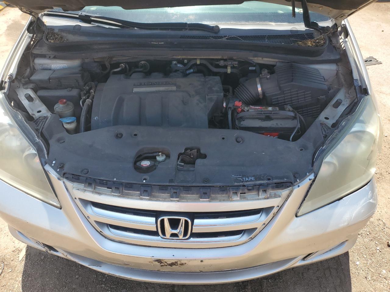 2007 Honda Odyssey Touring VIN: 5FNRL38887B101065 Lot: 61950885