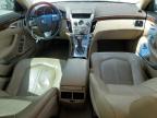 2011 Cadillac Cts Performance Collection zu verkaufen in West Palm Beach, FL - Minor Dent/Scratches