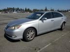 2010 Lexus Es 350 for Sale in Rancho Cucamonga, CA - All Over