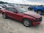 2006 Ford Mustang    for Sale in Madisonville, TN - Front End