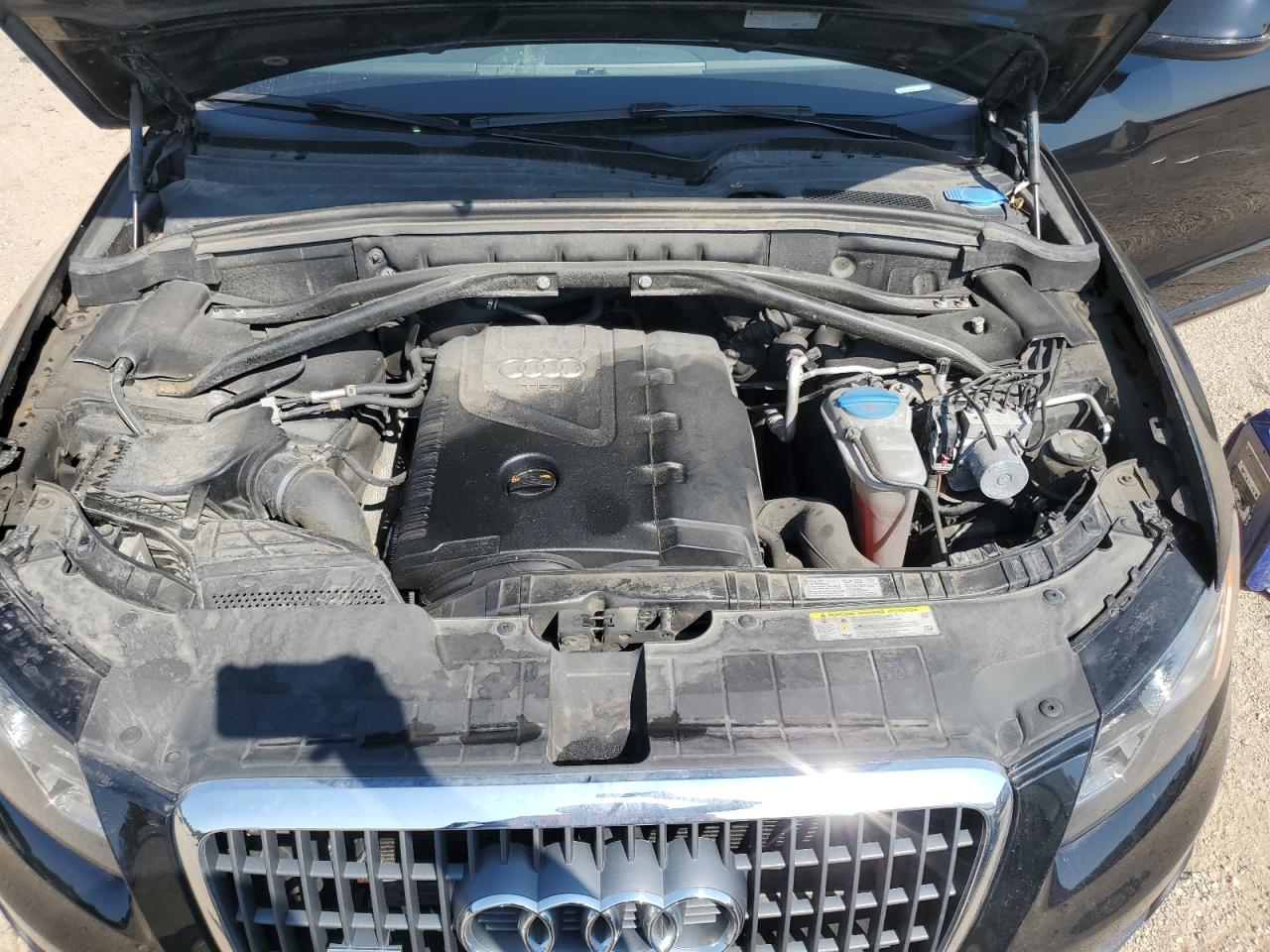 2012 Audi Q5 Premium Plus VIN: WA1LFAFP9CA101309 Lot: 59932105