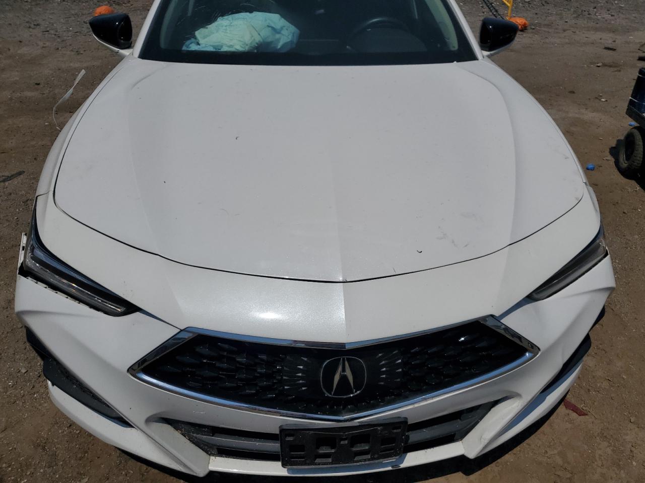 2021 Acura Tlx VIN: 19UUB5F35MA003021 Lot: 62296345