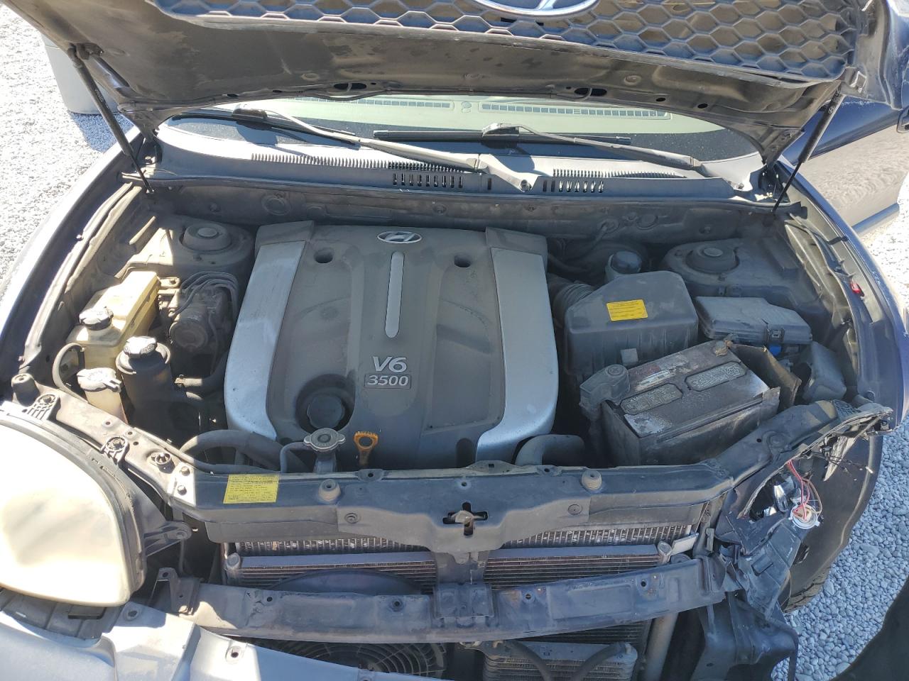 2004 Hyundai Santa Fe Gls VIN: KM8SC73E64U785036 Lot: 61242235