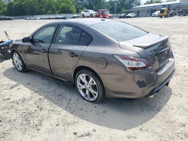  NISSAN MAXIMA 2012 Brązowy