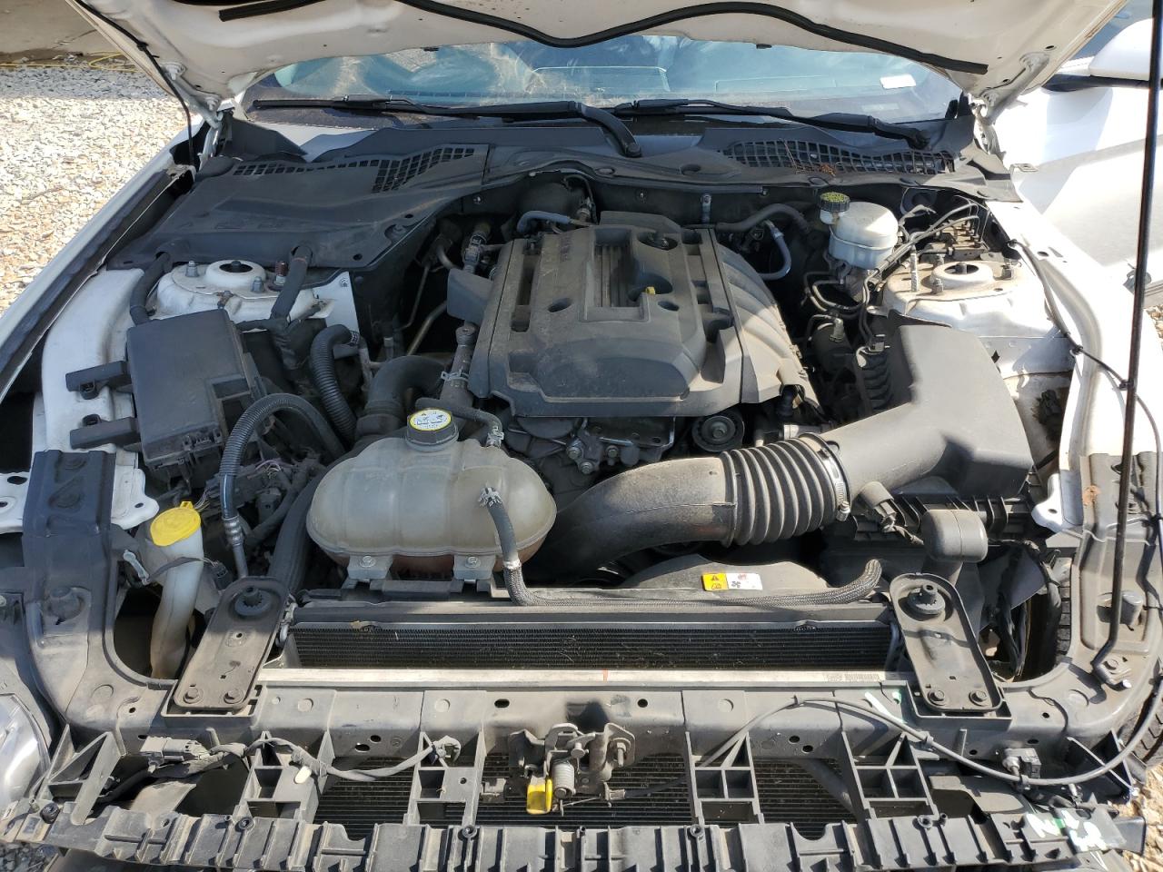 2017 Ford Mustang VIN: 1FA6P8TH7H5339400 Lot: 62021265