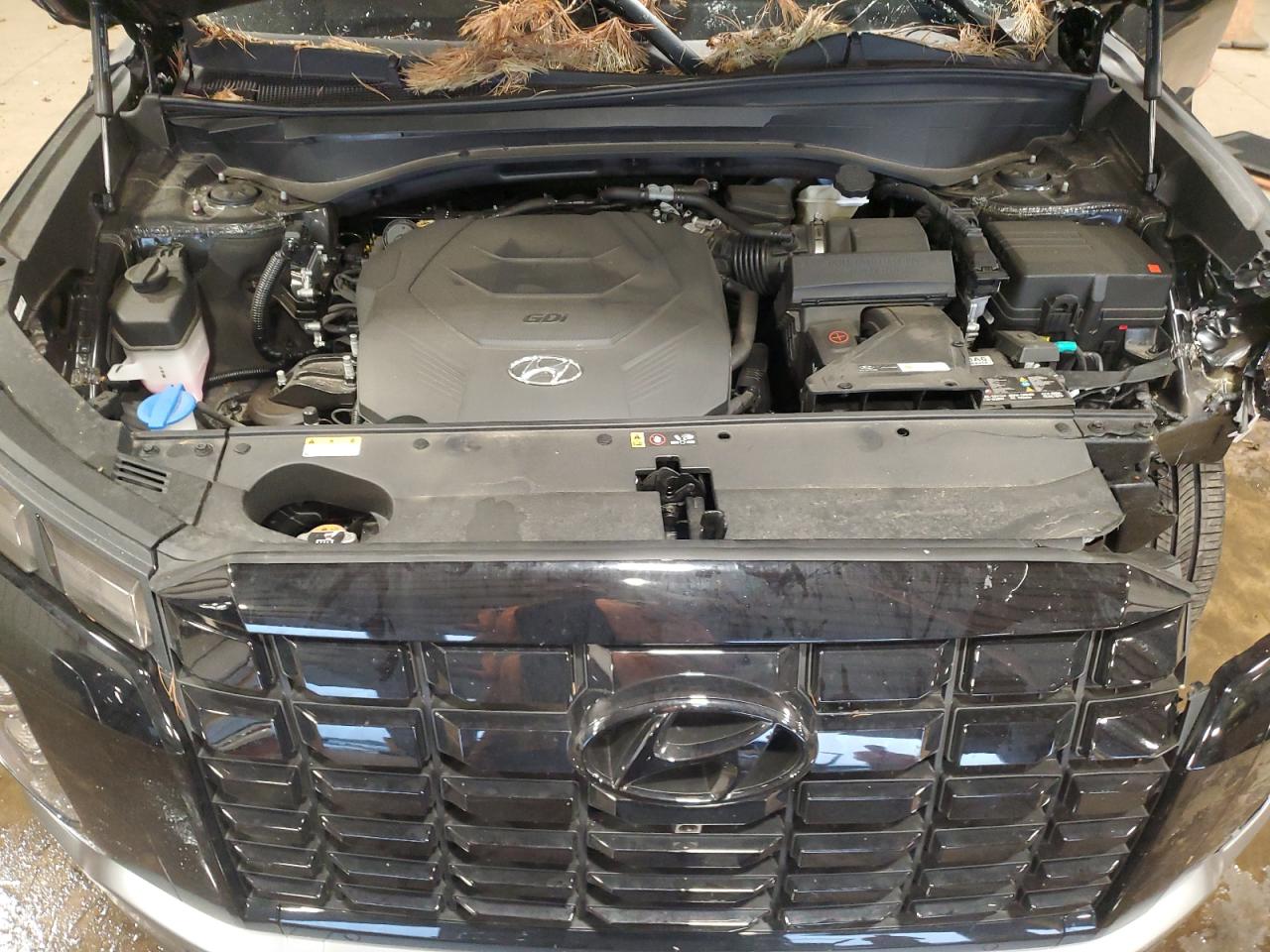 2024 Hyundai Palisade Sel Premium VIN: KM8R4DGE2RU695409 Lot: 62908725