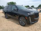 2021 Cadillac Escalade Sport zu verkaufen in China Grove, NC - Side