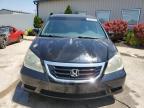 2010 Honda Odyssey Exl იყიდება Louisville-ში, KY - Hail