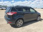 2013 FORD ESCAPE SEL   à vendre chez Copart AB - EDMONTON